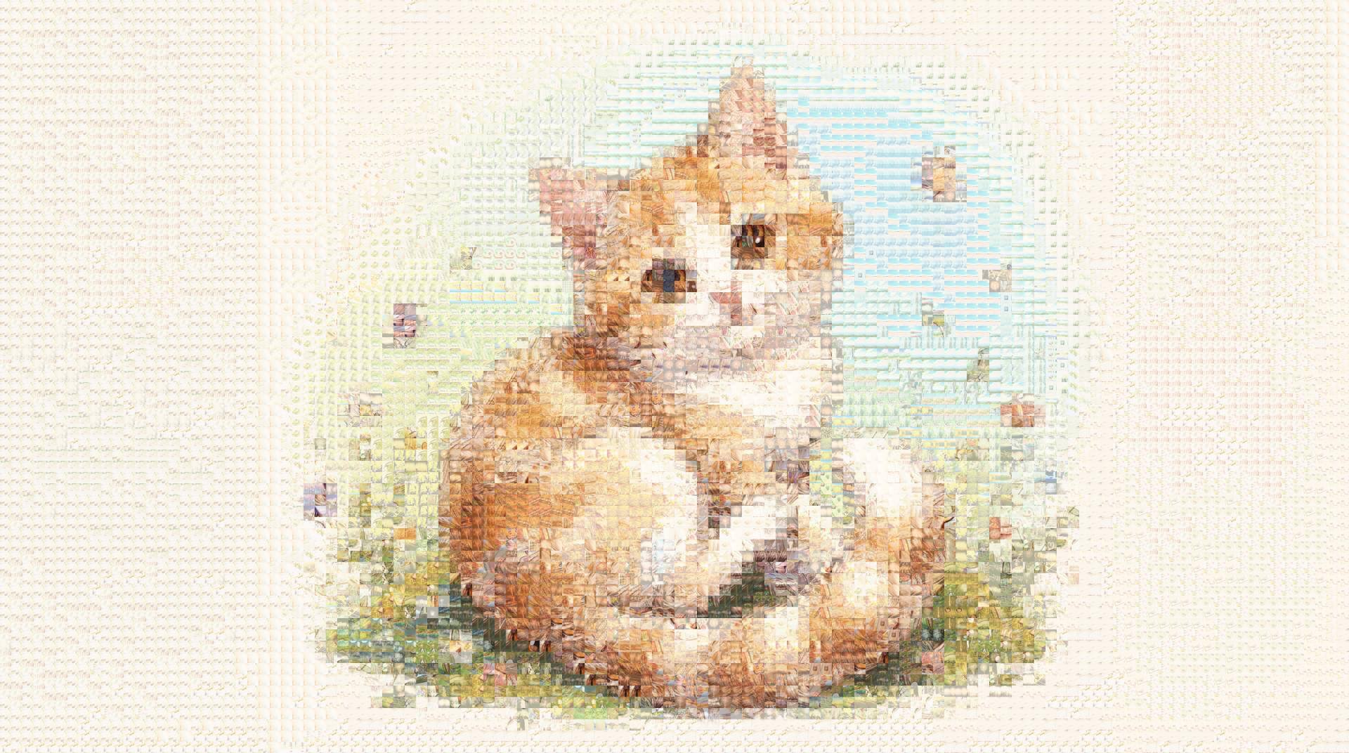 サンプル画像（RAW版）