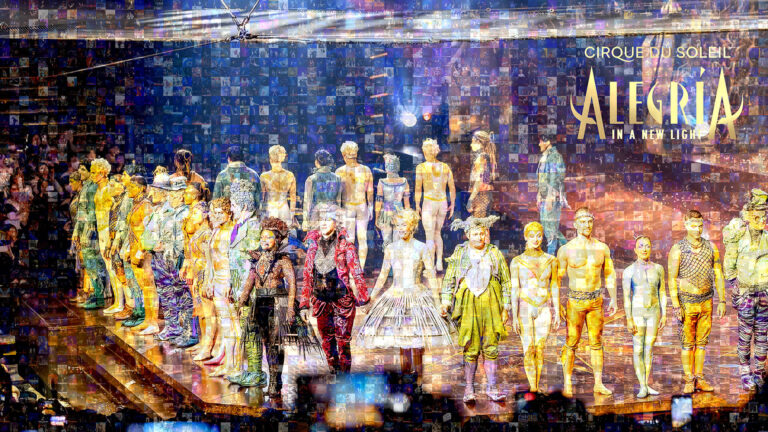 シルク・ドゥ・ソレイユ日本公演「アレグリア-新たなる光-」にて「Mosaic Live」を使用したグッズが販売されました